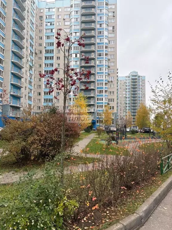 3-к кв. Московская область, Видное ул. Березовая, 16 (72.1 м) - Фото 1