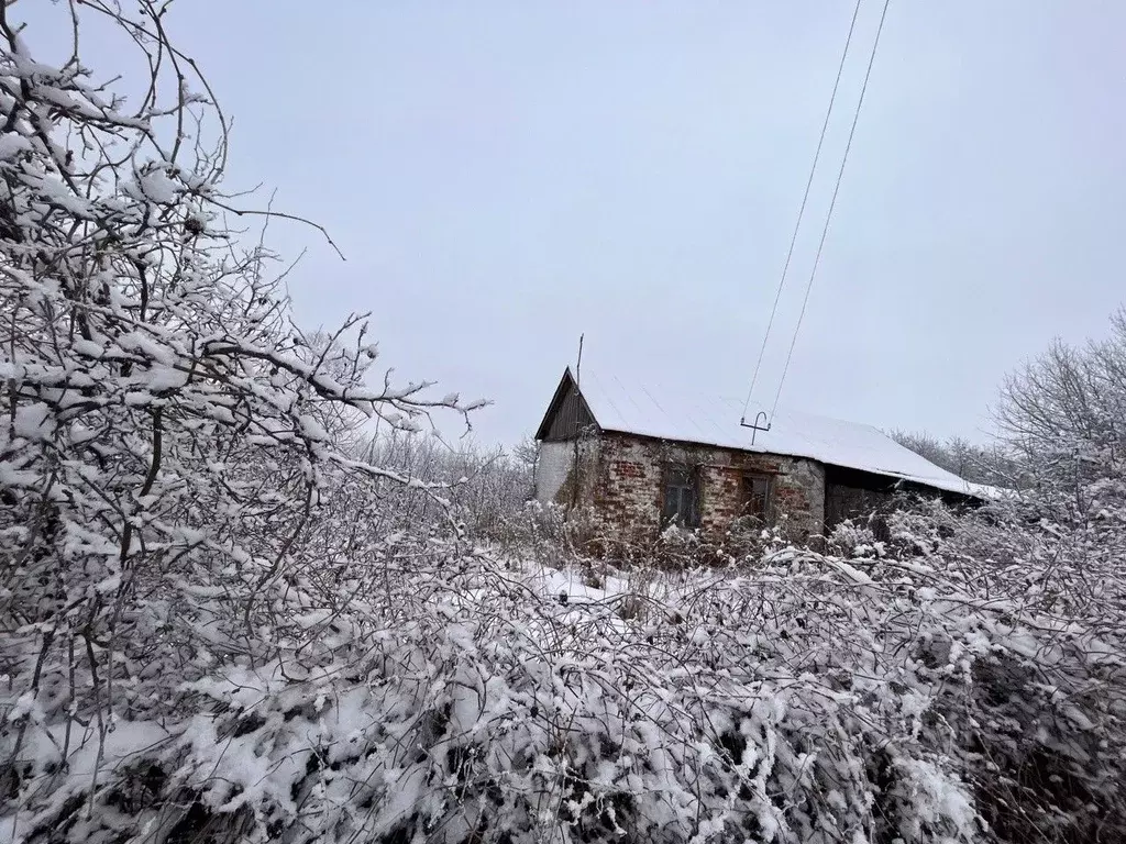 Дом в Рязанская область, Рязанский район, Вышгородское с/пос, д. ... - Фото 0