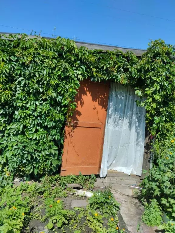 Участок в Омская область, Омск СОСН Юбилейный тер., аллея Центральная ... - Фото 1