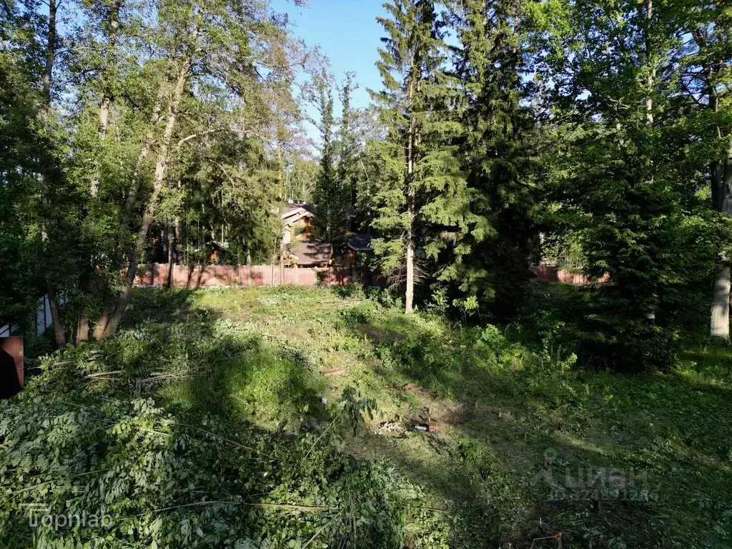 Участок в Санкт-Петербург пос. Репино, пер. 2-й Лесной, 4 (29.19 сот.) - Фото 1