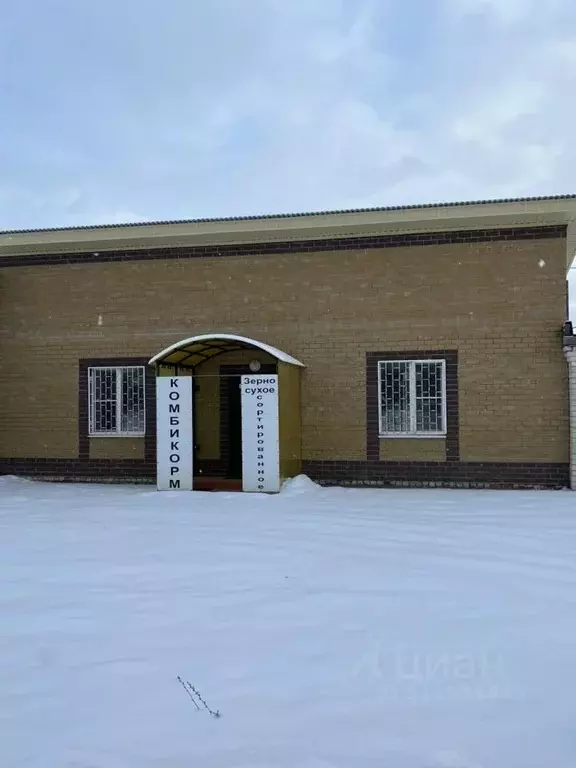 Помещение свободного назначения в Нижегородская область, Чкаловск ... - Фото 0