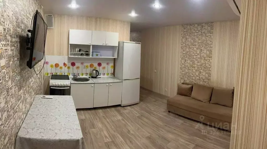 Студия Самарская область, Тольятти ул. 40 лет Победы, 51В (25.0 м) - Фото 2