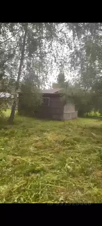 Участок в Московская область, Клин городской округ, д. Введенское, Луч ... - Фото 2
