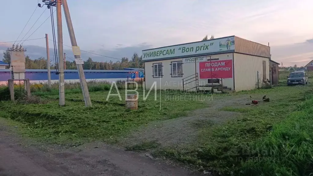 Торговая площадь в Новосибирская область, Мошковский район, пос. ... - Фото 1