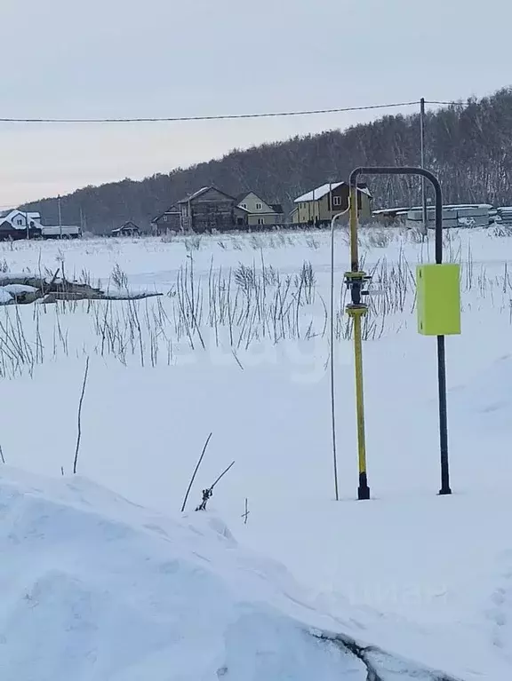 Участок в Омская область, Омский район, с. Усть-Заостровка  (10.0 ... - Фото 0