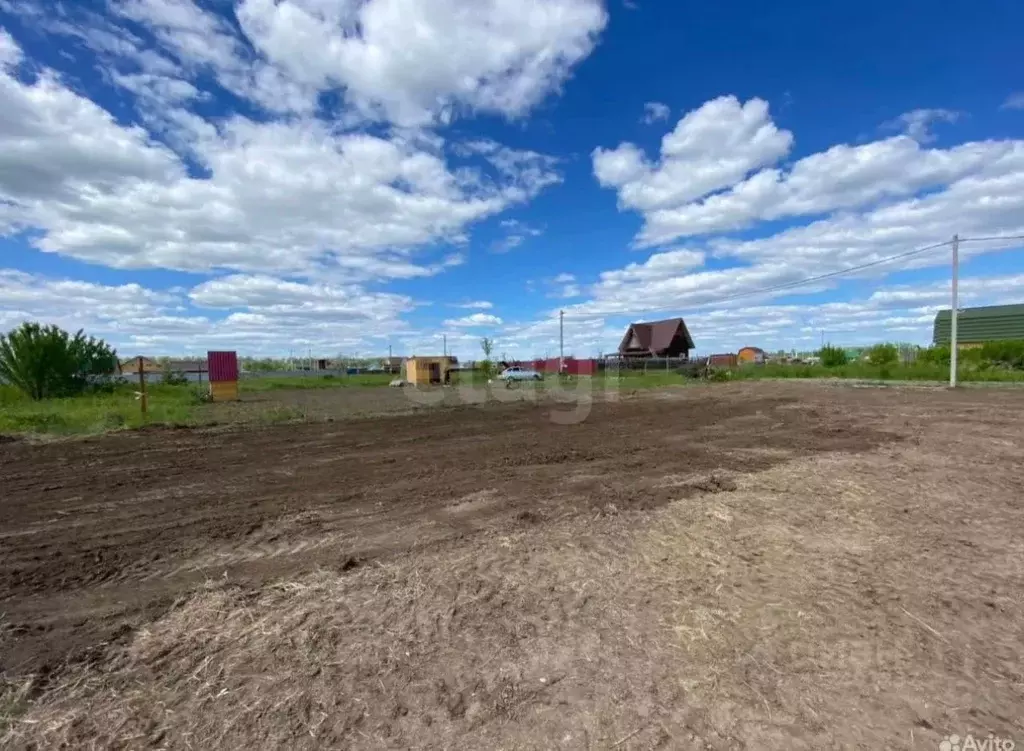 Участок в Новосибирская область, Новосибирский район, Кубовинский ... - Фото 1