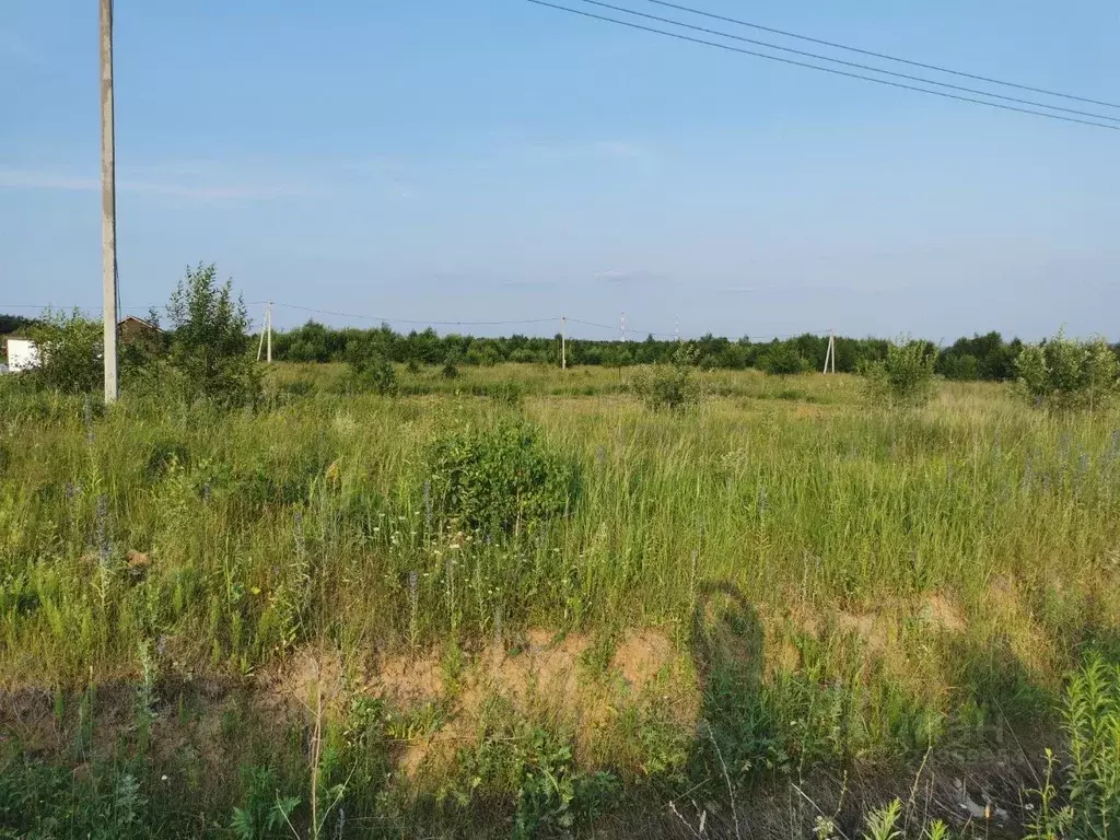 Участок в Калужская область, Тарусский муниципальный округ, Лопатино ... - Фото 2