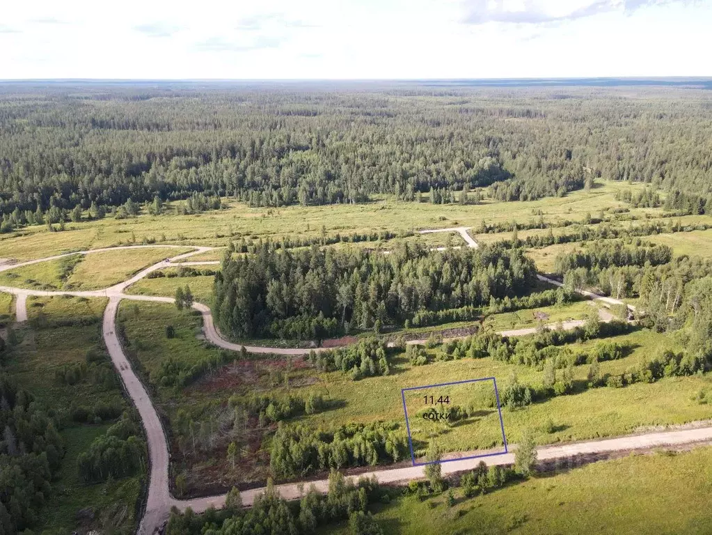 Участок в Ленинградская область, Приозерский район, Раздольевское ... - Фото 0