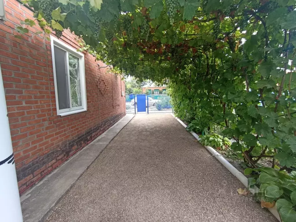 Дом в Краснодарский край, Ейский район, Ясенская ст-ца Красная ул. (64 ... - Фото 1