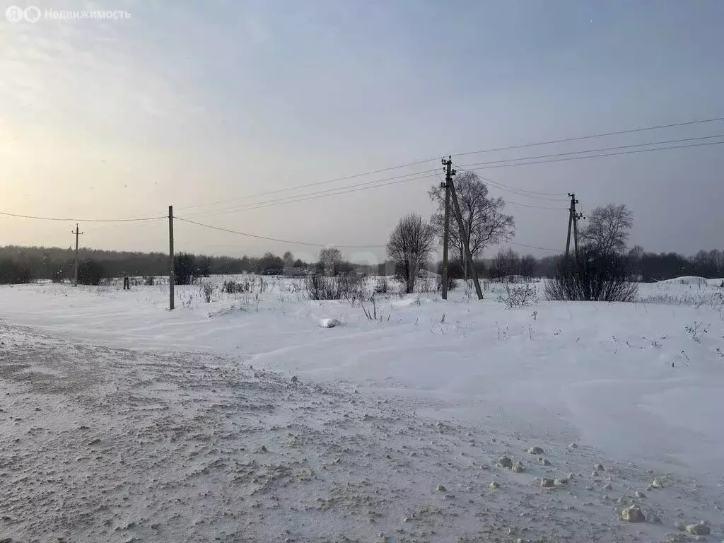 Участок в Ярославская область, Даниловский муниципальный округ, ... - Фото 1
