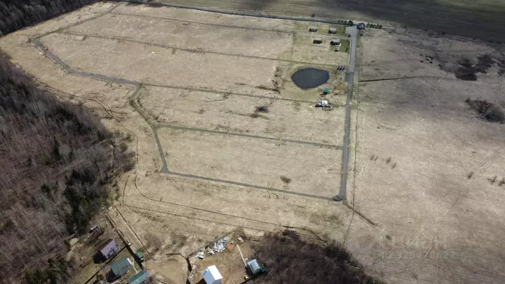 Участок в Московская область, Дмитровский муниципальный округ, д. ... - Фото 2