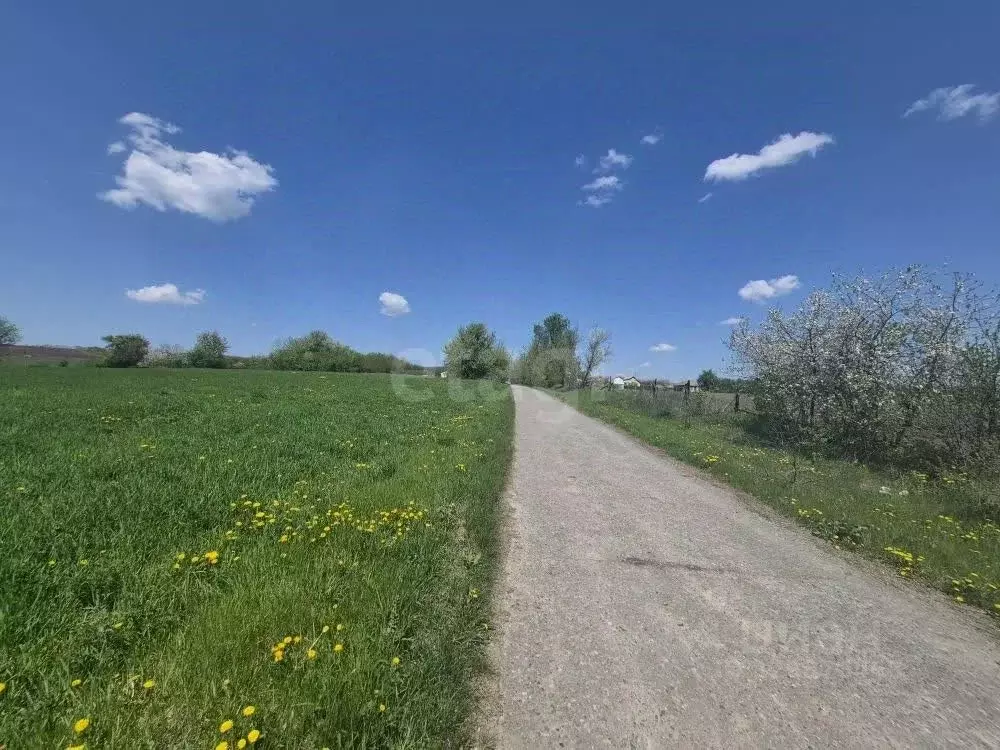 Участок в Белгородская область, Чернянский район, Русскохаланское ... - Фото 2