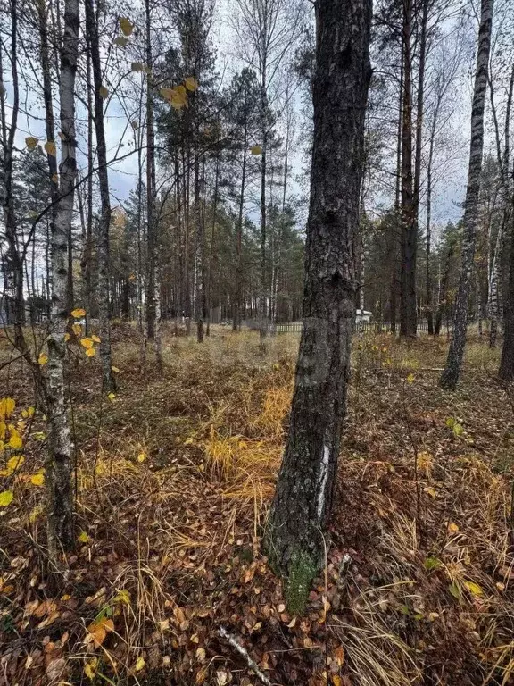 Участок в Брянская область, Брянский район, Свенское с/пос, пос. Свень ... - Фото 1