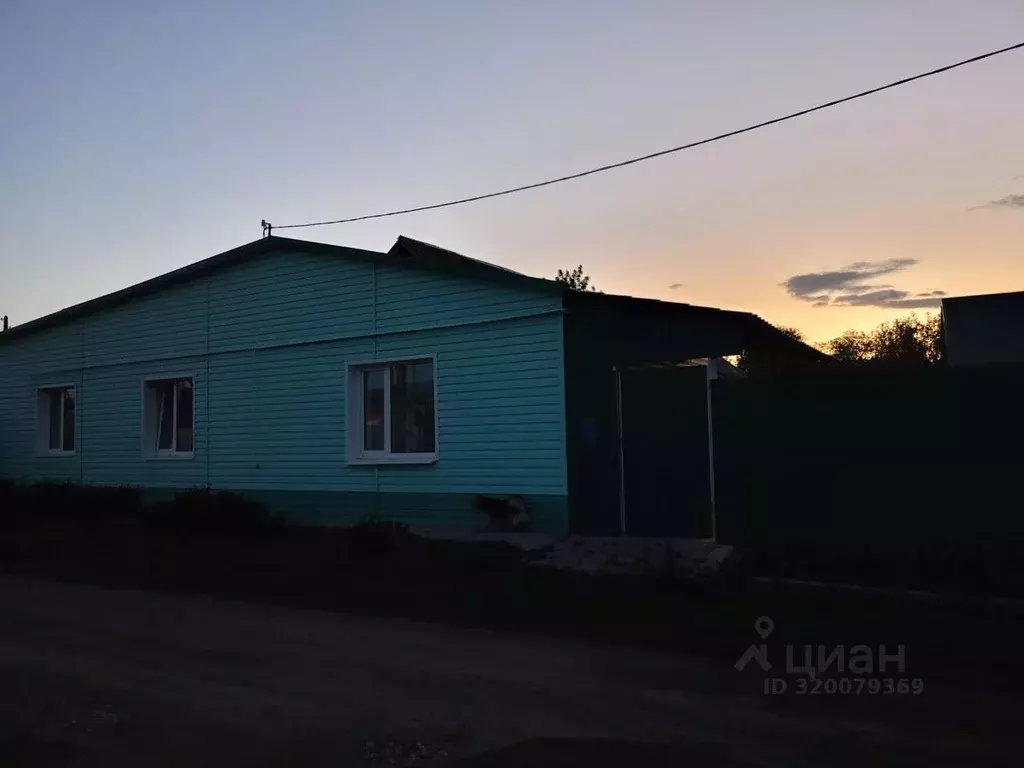Дом в Самарская область, с. Хворостянка ул. Борисова, 22А (70 м) - Фото 0