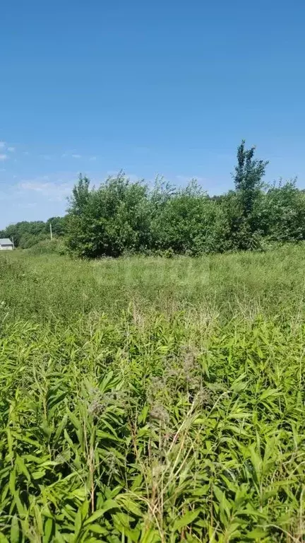 Участок в Калининградская область, Гурьевский муниципальный округ, ... - Фото 1