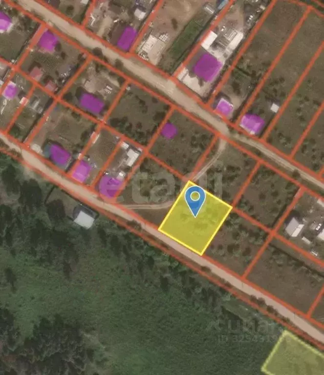 Участок в Бурятия, Тарбагатайский район, Саянтуйское с/пос, Васюки ДНТ ... - Фото 1