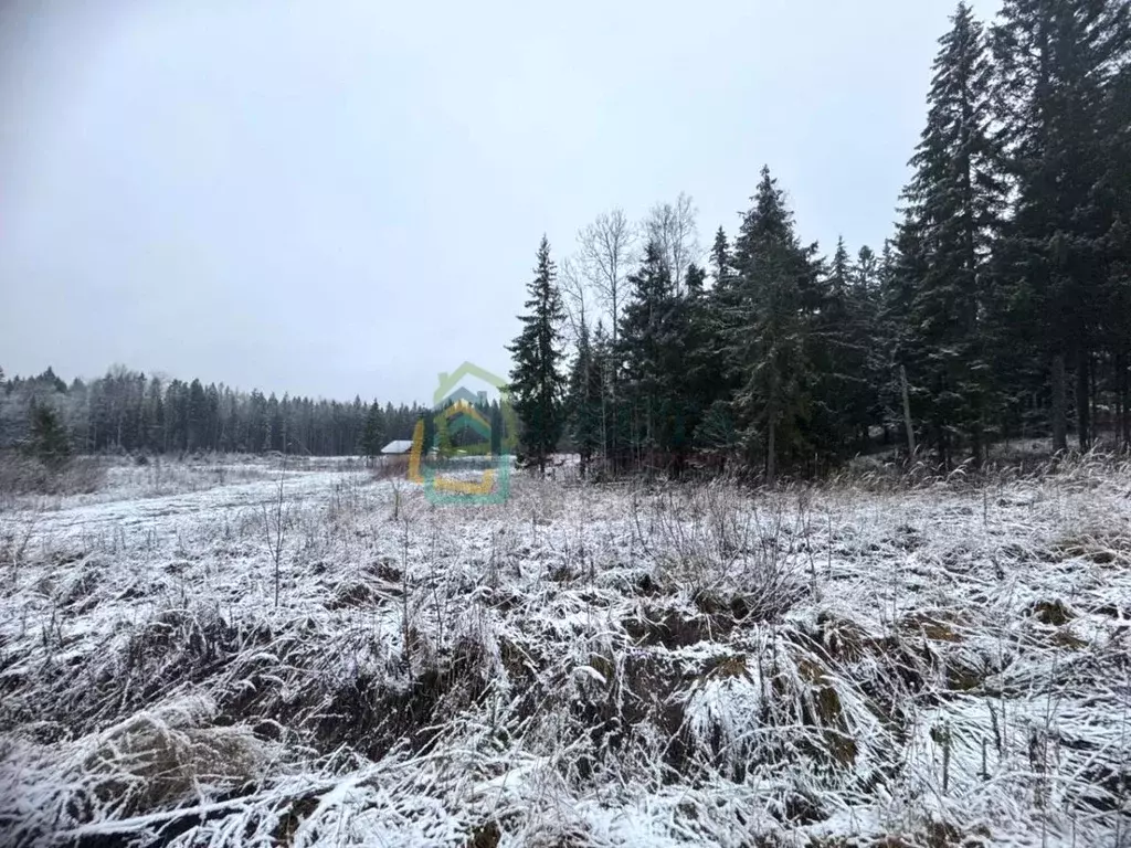 Участок в Ленинградская область, Всеволожский район, Лесколовское ... - Фото 1