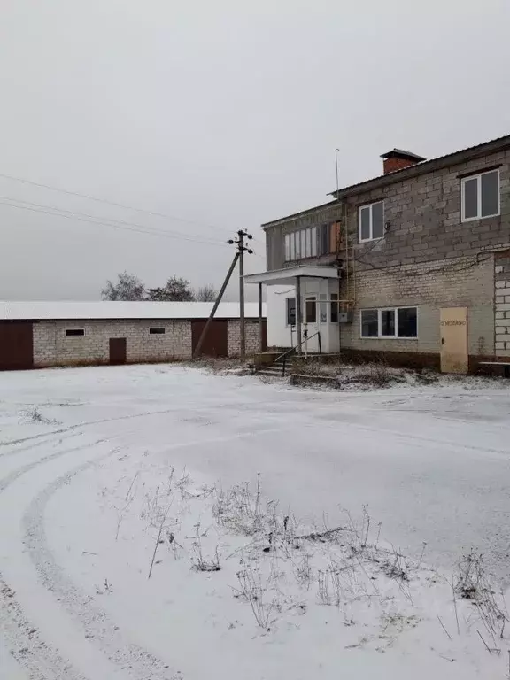 Помещение свободного назначения в Курская область, Курский район, ... - Фото 1