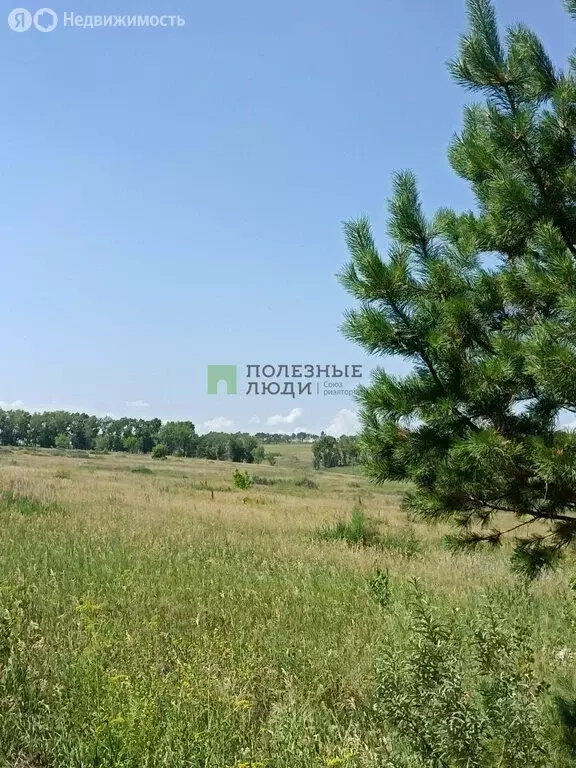 Участок в городской округ Красноярск, посёлок Солонцы (5.93 м) - Фото 0