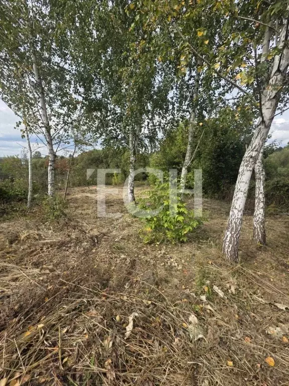 Участок в Тульская область, Тула пос. Рудаково,  (9.0 сот.) - Фото 1