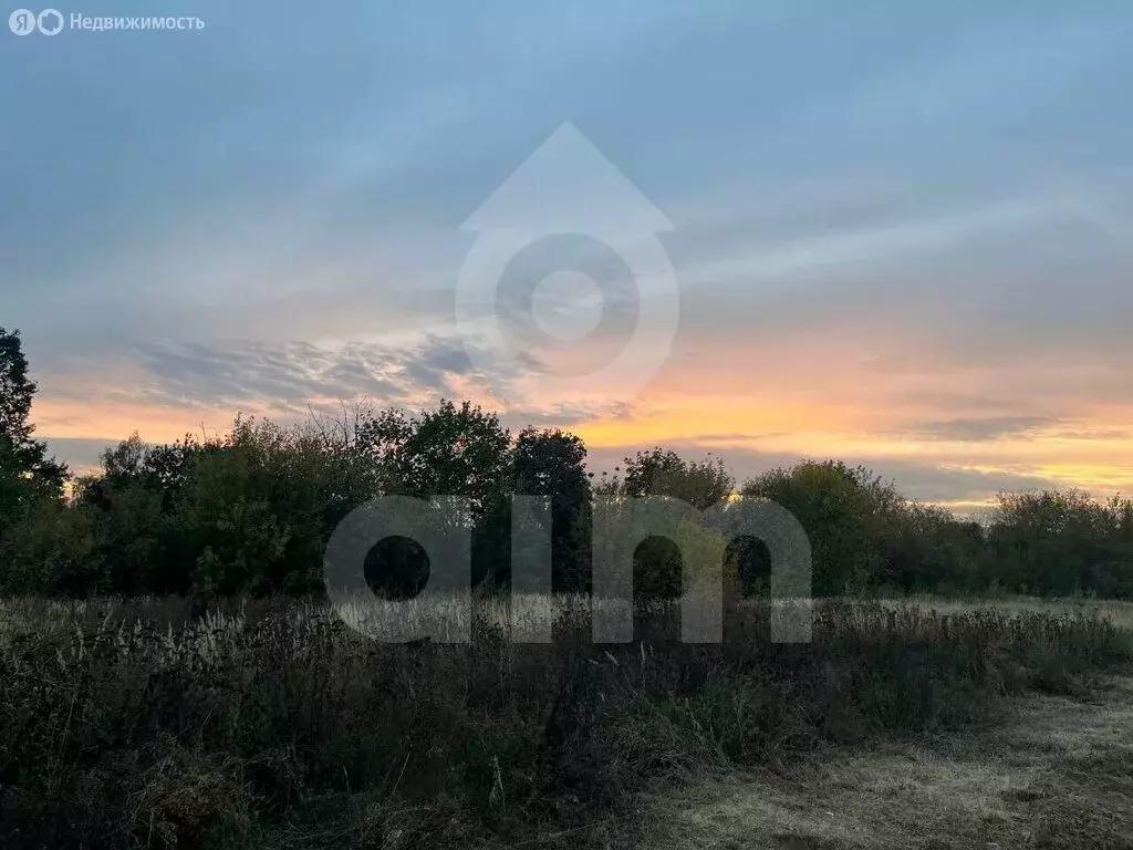 Участок в Одинцовский городской округ, СНТ Мамоново (58 м) - Фото 1