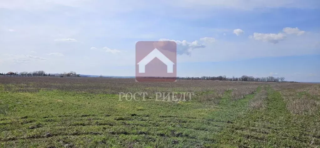 Участок в Саратовская область, Воскресенский район, Елшанское ... - Фото 1