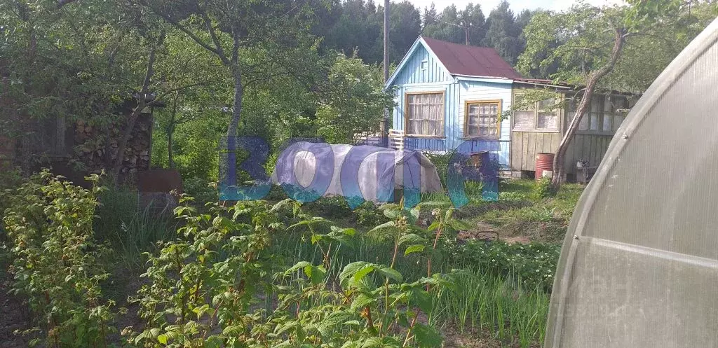 Купить Участок Костромская Область