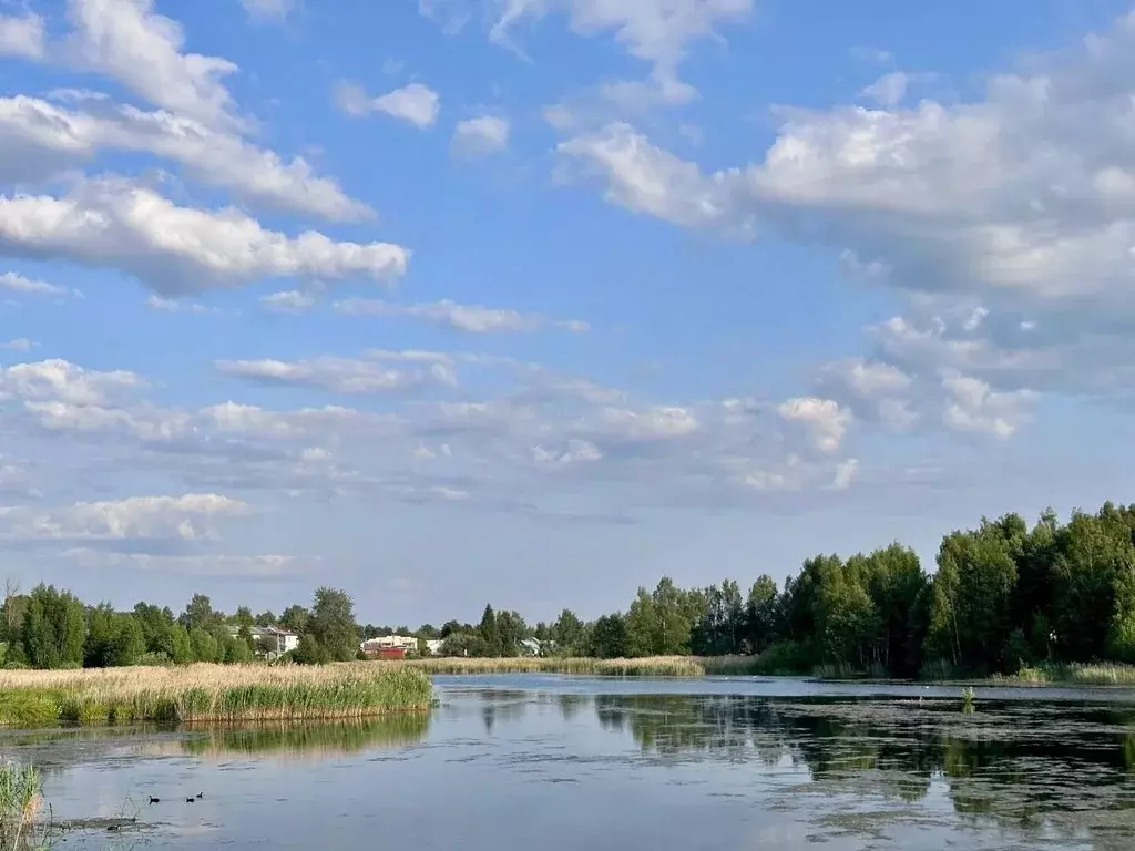 Участок в Ярославская область, Переславль-Залесский городской округ, ... - Фото 1