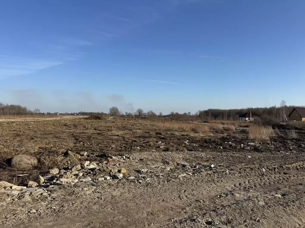 Участок в Калининградская область, Гурьевский муниципальный округ, ... - Фото 1