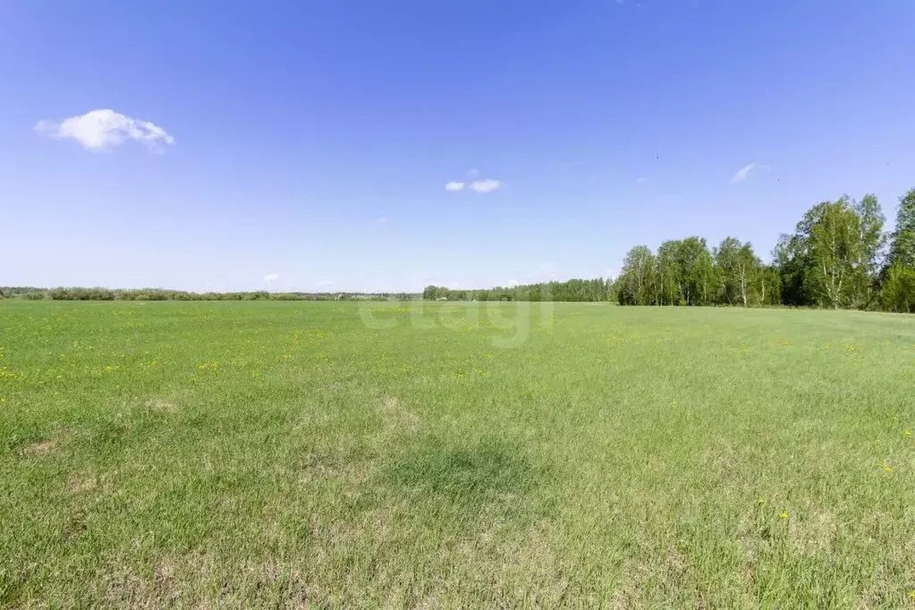 Участок в Тюменская область, Тюмень  (8.76 сот.) - Фото 1