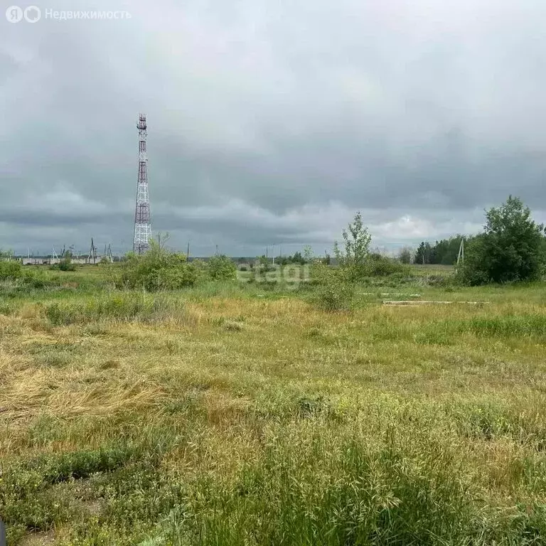 Участок в Тюменский район, село Салаирка (10 м) - Фото 0