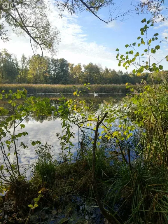 Участок в Екатериновка, Садовая улица (7.5 м) - Фото 0