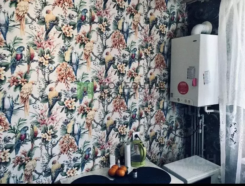 2-к кв. Крым, Евпатория ул. Чапаева, 73 (50.0 м) - Фото 2