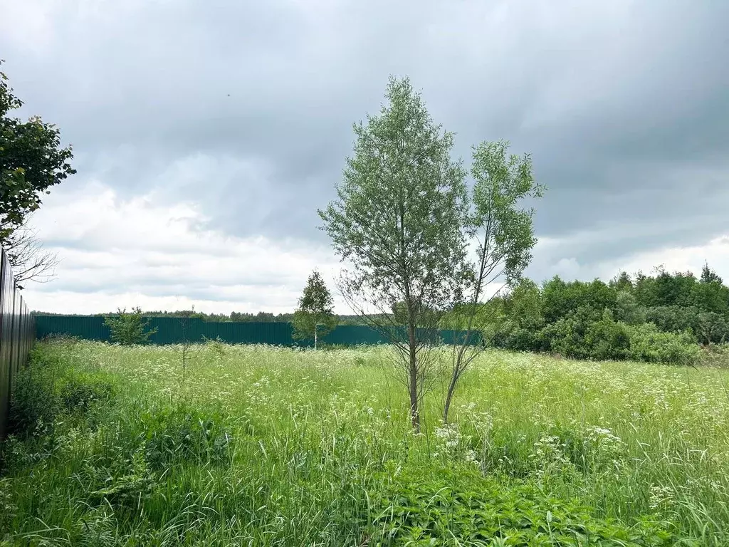 Участок в Московская область, Чехов муниципальный округ, д. Волосово  ... - Фото 2