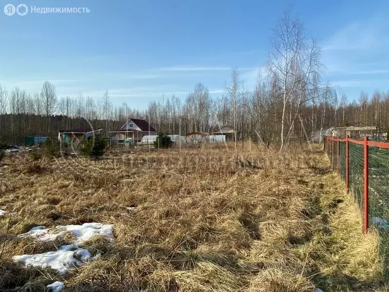 Участок в Выборгский район, городской посёлок Советский (7.25 м) - Фото 2