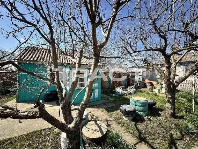 Дом в Воронежская область, Новоольшанское с/пос, пос. Нижнедевицк ул. ... - Фото 1