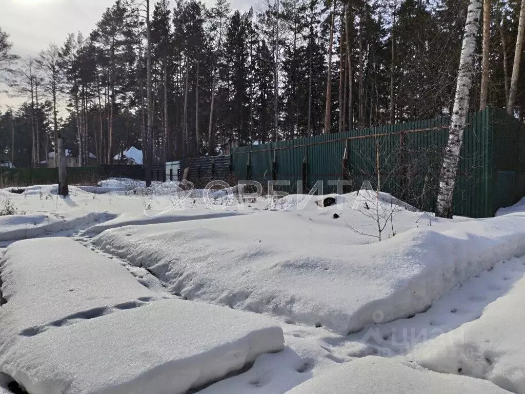 Участок в Тюменская область, Тюменский район, д. Зубарева  (25.75 ... - Фото 1