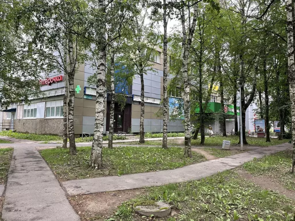 Помещение свободного назначения в Ленинградская область, Кириши просп. ... - Фото 0