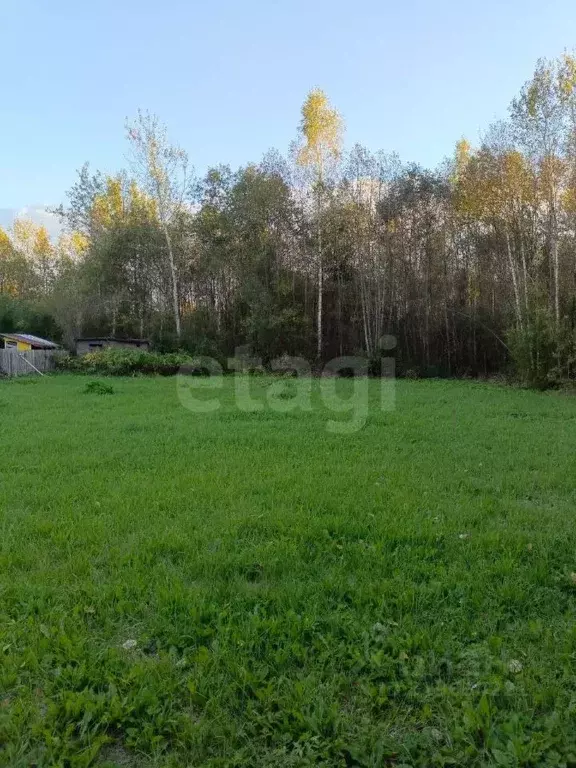 Участок в Костромская область, Красносельский район, Сидоровское ... - Фото 1