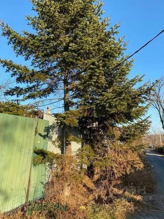 Дом в Приморский край, Владивостокский городской округ, пос. Трудовое ... - Фото 2