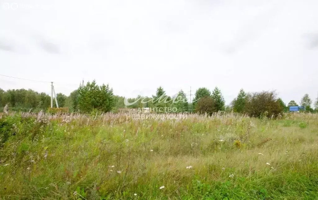 Участок в Заводоуковск, СНТ Раздолье (15.6 м) - Фото 1