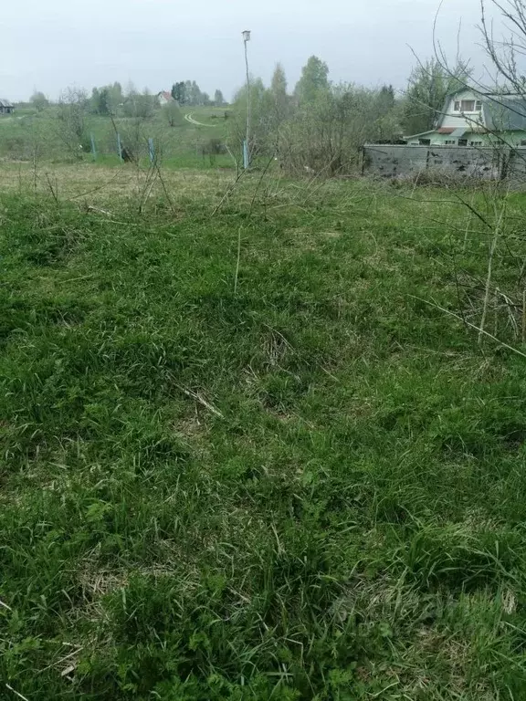 Участок в Калужская область, Козельский район, Деревня Лавровск с/пос, ... - Фото 0