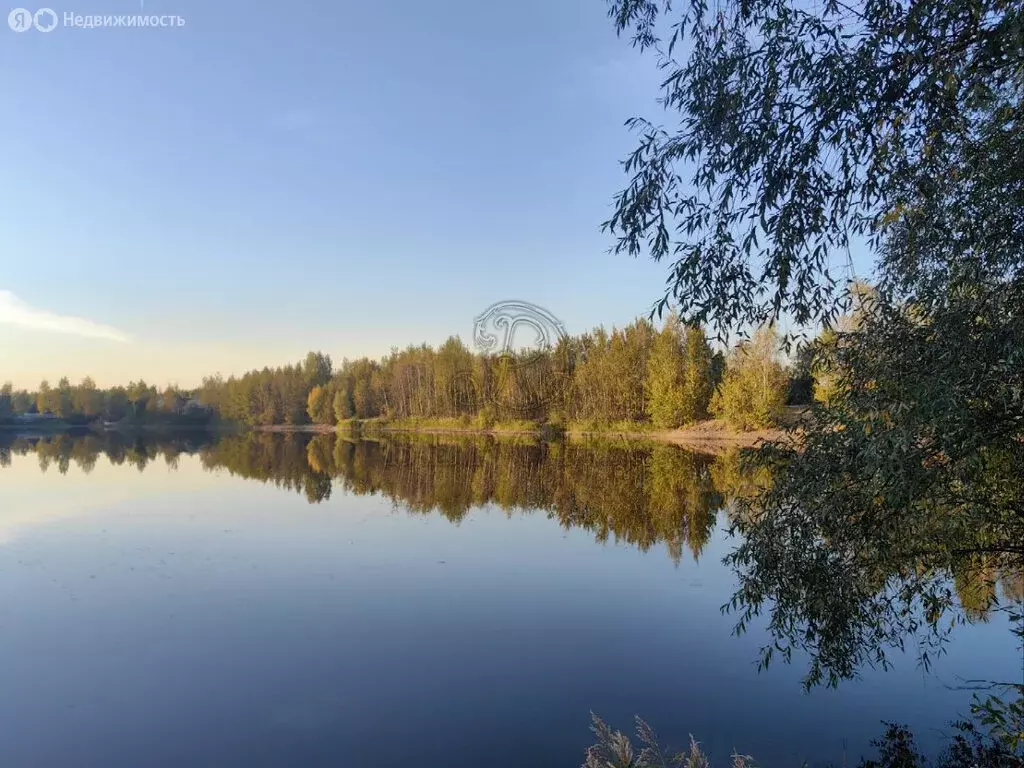 Участок в Богородский городской округ, СНТ Отдых (рабочий посёлок ... - Фото 1