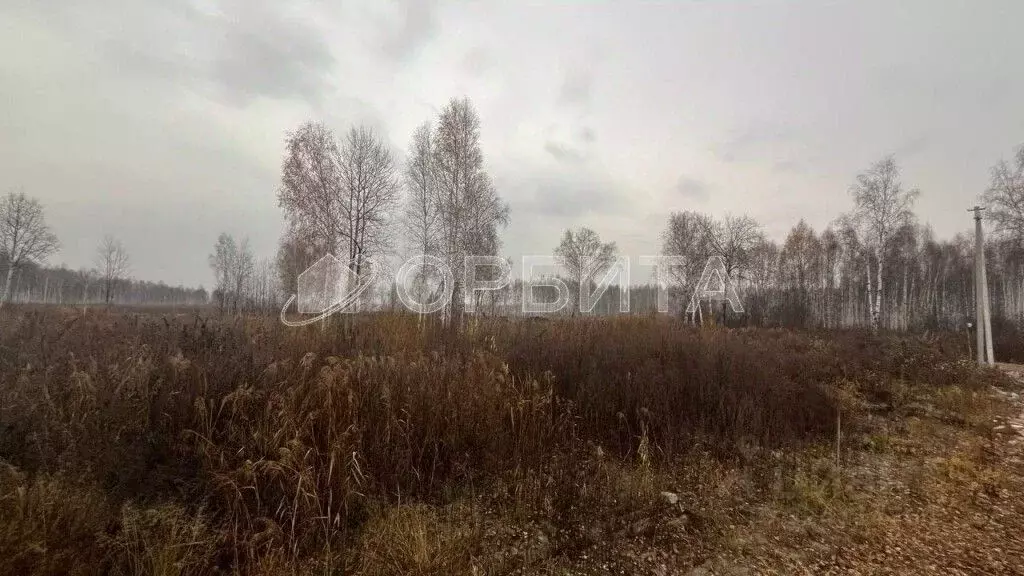 Участок в Тюменская область, Нижнетавдинский муниципальный округ, с. ... - Фото 2