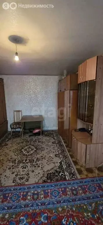 1-комнатная квартира: Воронеж, Минская улица, 25 (28.8 м) - Фото 2