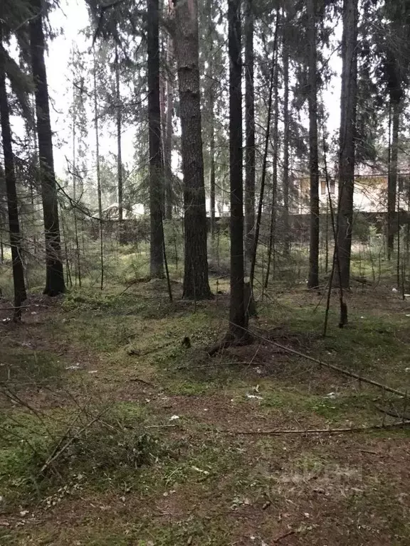 Участок в Ленинградская область, Всеволожск Торговый просп., 241 (12.0 ... - Фото 1