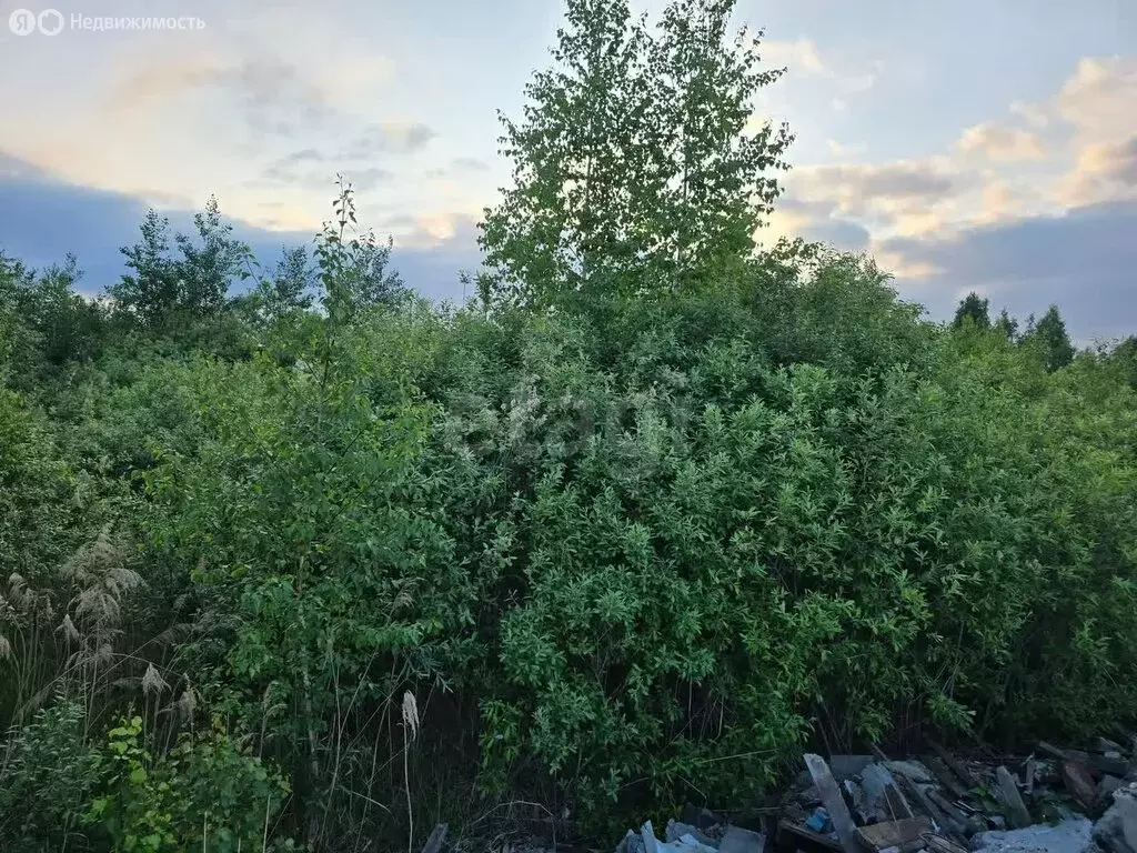Участок в Тюмень, садовое товарищество Поле Чудес, Кукольный переулок ... - Фото 1