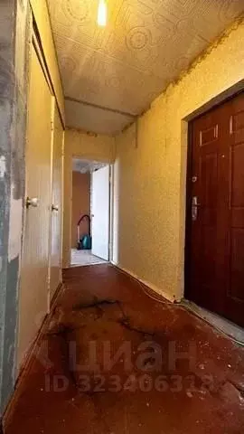 3-к кв. Московская область, Талдомский городской округ, д. Павловичи 3 ... - Фото 2