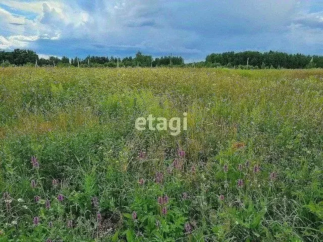 Участок в Калужская область, Калуга городской округ, д. Груздово уч93 ... - Фото 0