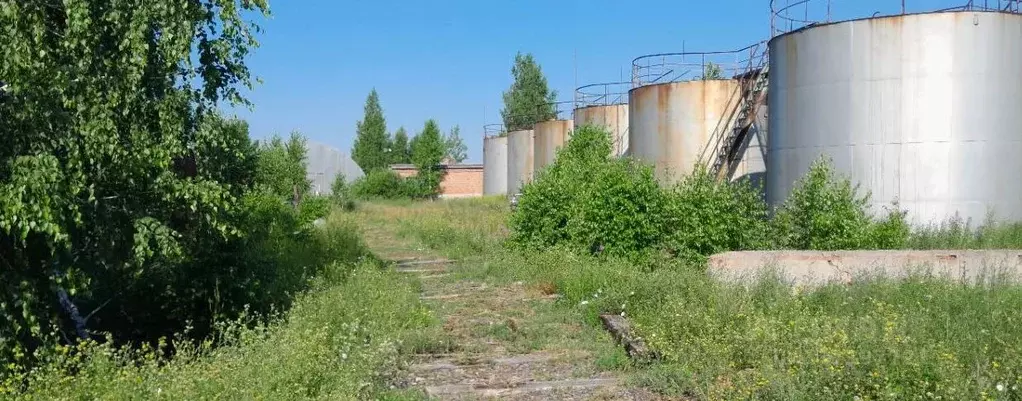 Производственное помещение в Новосибирская область, Татарск ул. ... - Фото 2